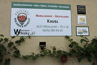fanclubausflug2015