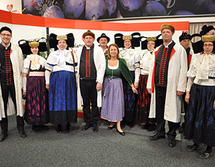 gruenewoche2017